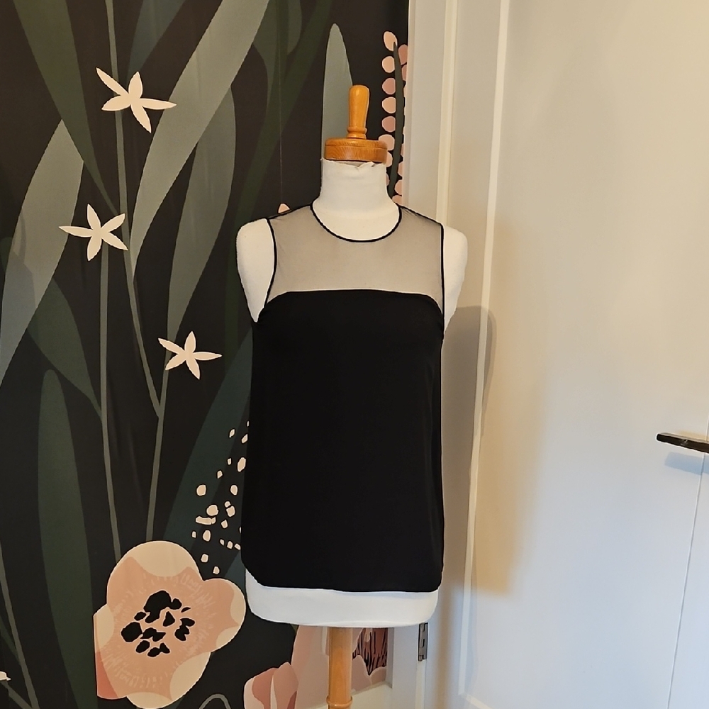 Babaton Black Camisole with Sheer Detail